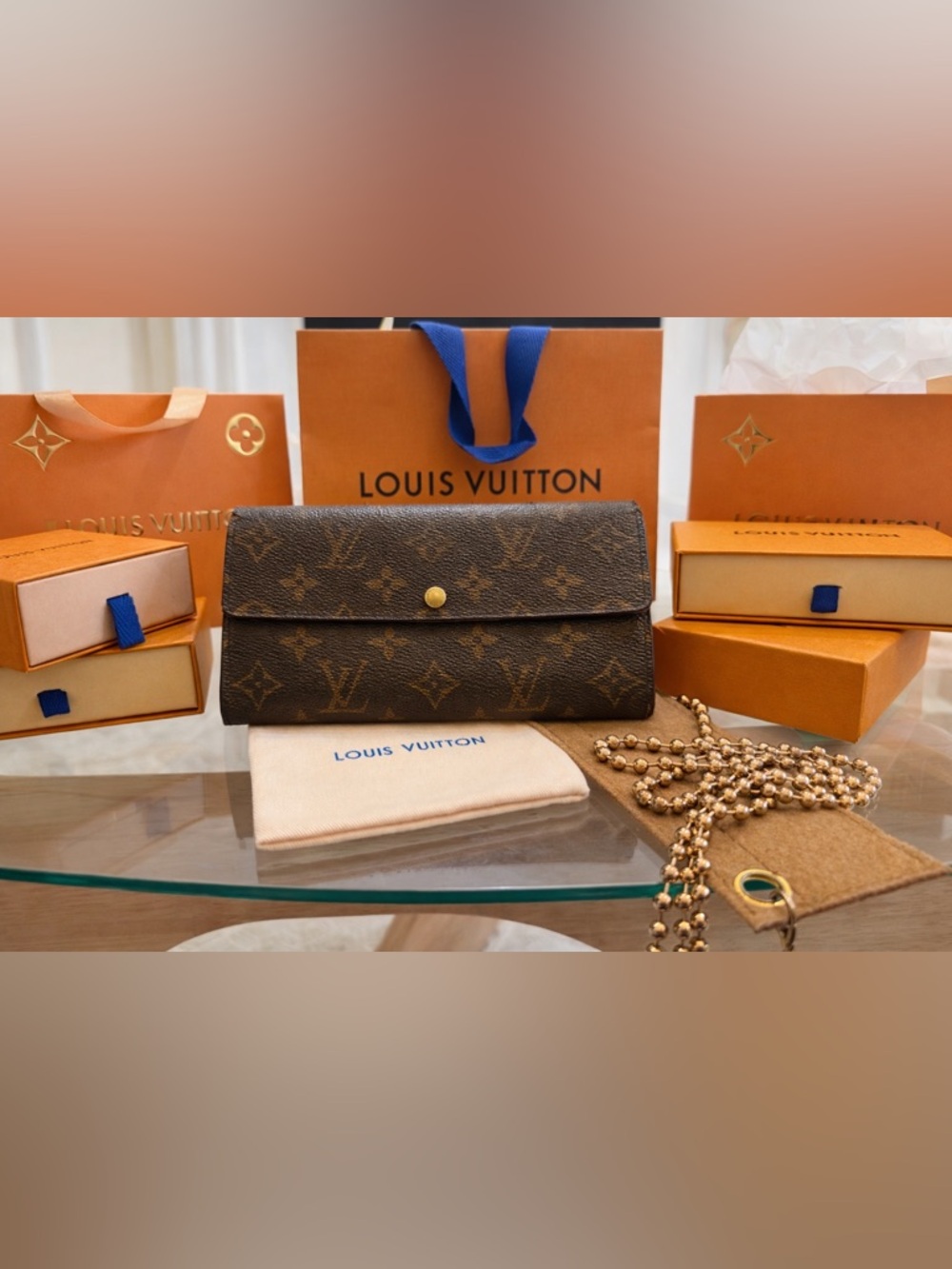 Louis Vuitton Monogram Canvas Foldover Wallet in Brown